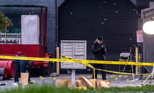 Three children among four dead after mass-shooting at birthday party