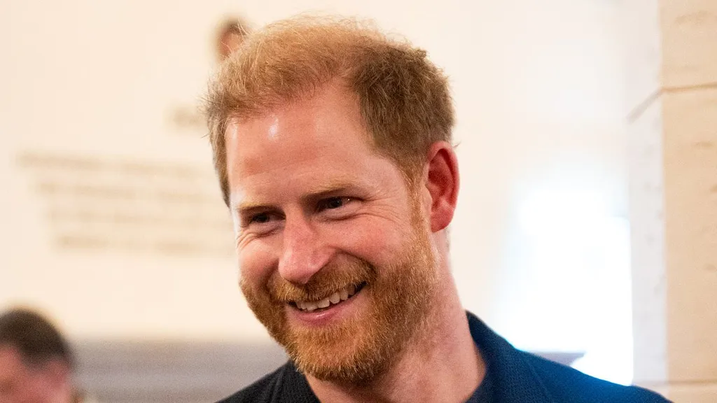 Prince Harry's US visa files delayed until after Charles's state visit