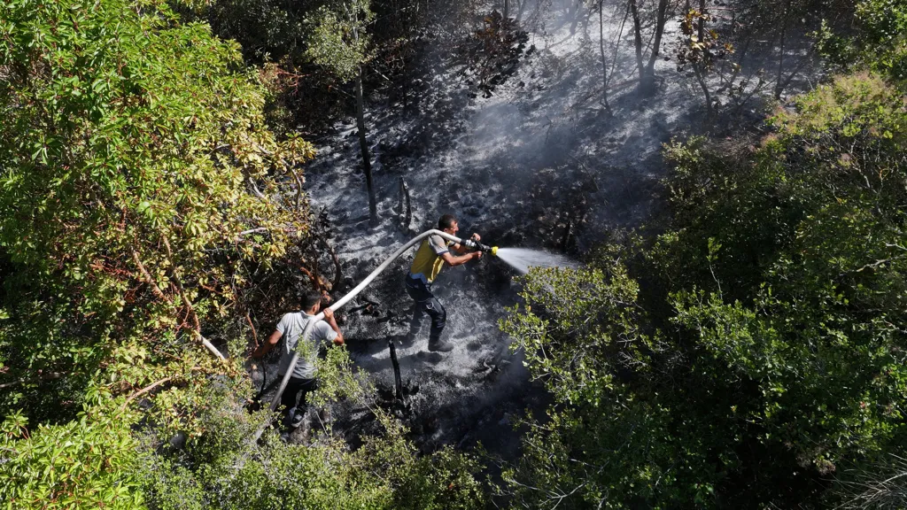 Wildfires Sweep Syria's Coast as Drought Strains Fragile State
