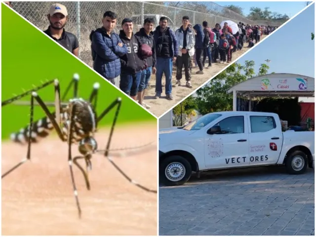 Dengue Fever Hits Texas Border Region, Highest Infection Rate in Two Decades, Say Health Officials