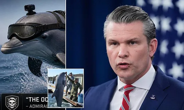 Speculation over secret US fleet of 'kamikaze dolphins'