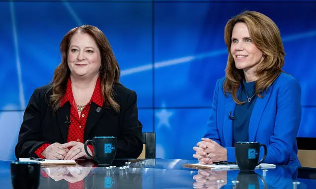 Democrats hope to increase liberal control of battleground...