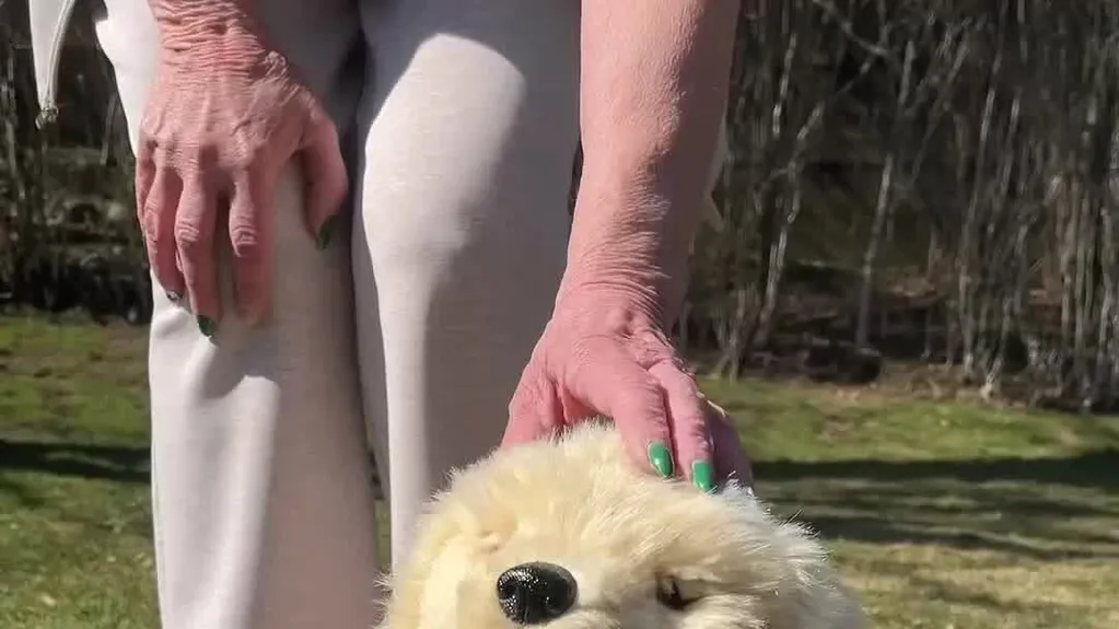 Aging in Place: How Technology Might Help You Grow Old at Home