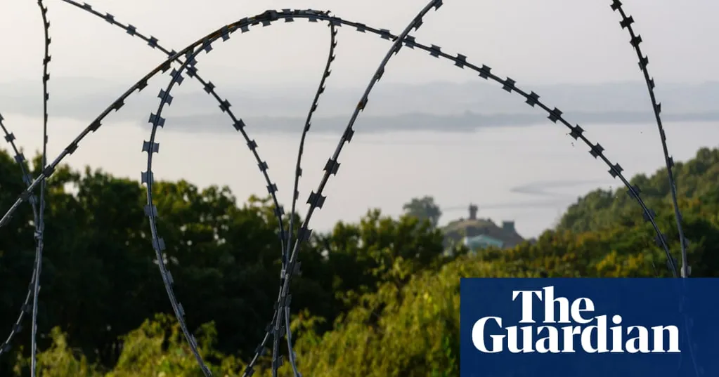'Landmines have become the greatest protectors': how wildlife is thriving in the Korean DMZ