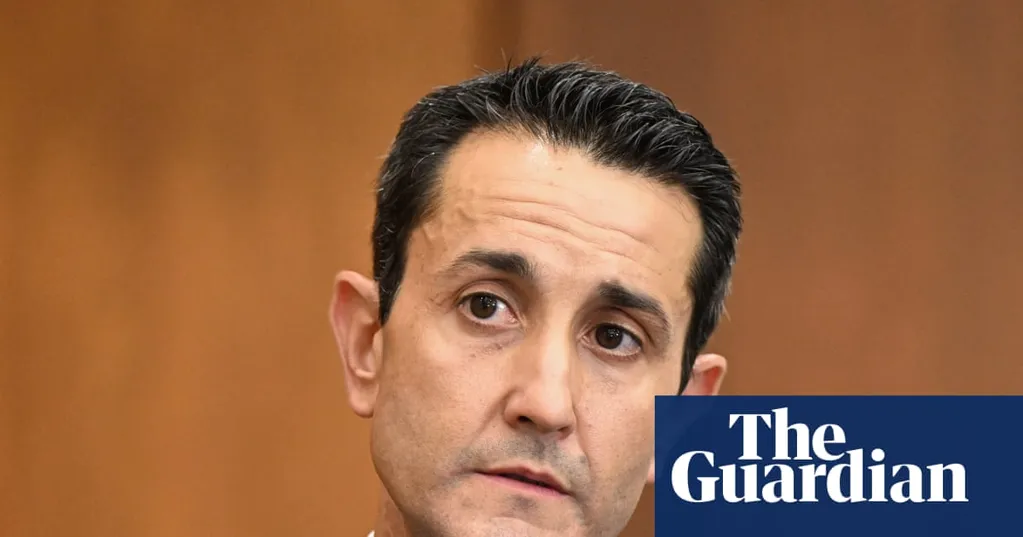 Abortion laws, gun control and the rise (again) of One Nation: is Queensland's LNP fraying at the seams?