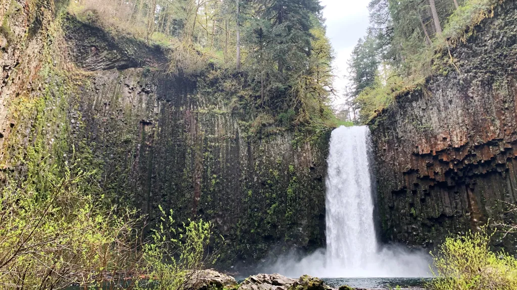 Abiqua Falls in Oregon Draws a State Offer After Listing on Real Estate Site