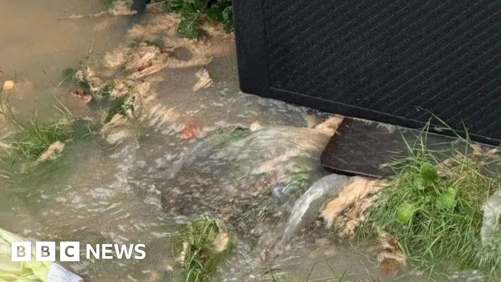 Alford residents' worries over homes plan amid flooding fears