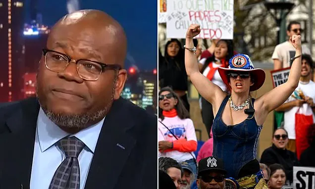 MS NOW contributor cheers protestors for slashing ICE agents' tires