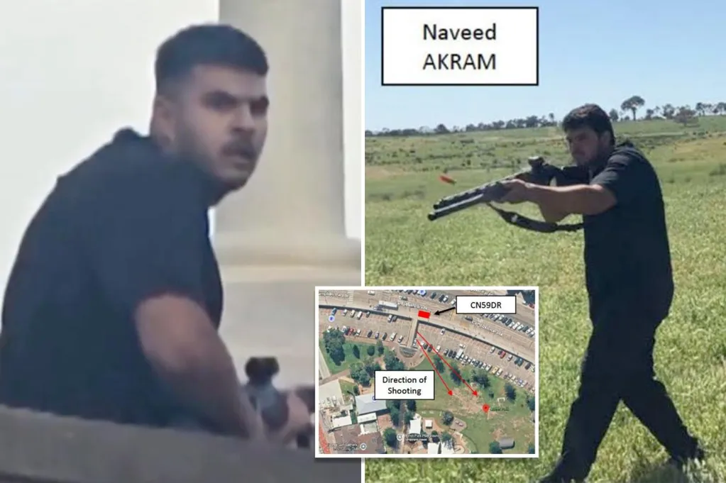 Police statement of facts against 24-year-old alleged Bondi gunman...