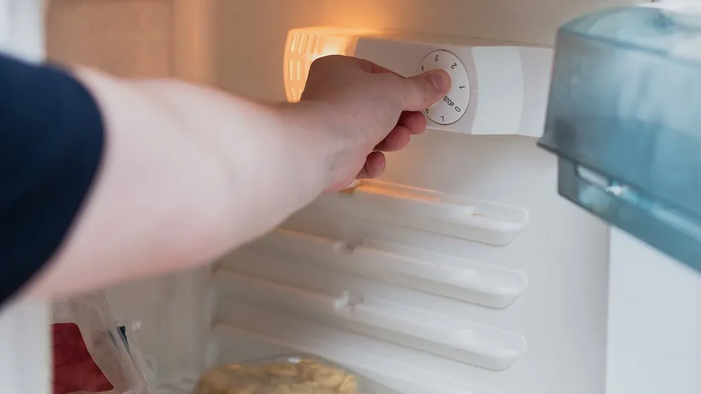 Revealed: The correct temperature to set your fridge this Christmas