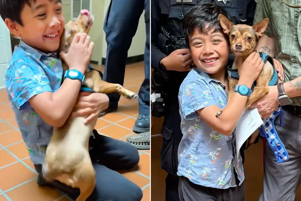 Dog Missing 13 Months and Feared Dead Reunites with Family After Being Found in a Concerning Situation