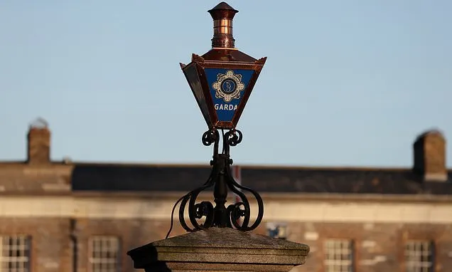 Irish police investigating 200 reports of Grok child abuse material