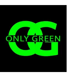 Only Green Lights Up Crypto with Permanent Green Candles
