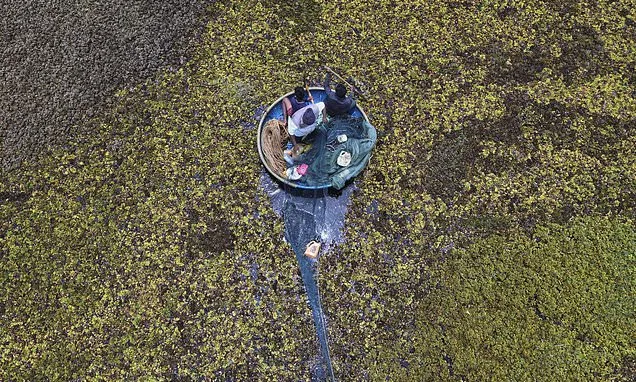 As climate risks grow, India's Bengaluru is trying to save its...