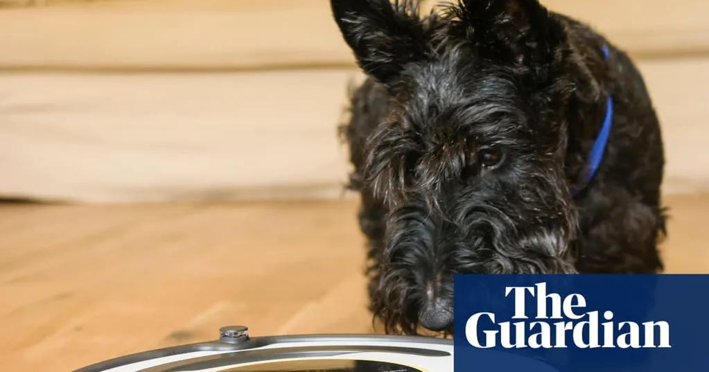 Roomba maker iRobot bought by Chinese supplier after filing for bankruptcy