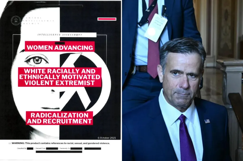 CIA rescinds 19 DEI-infused intel reports, including warning about...