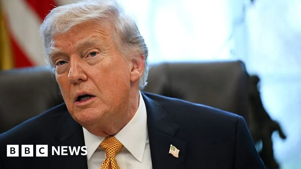 Trump says presidents 'should not have learning disabilities' as he mocks Newsom's dyslexia