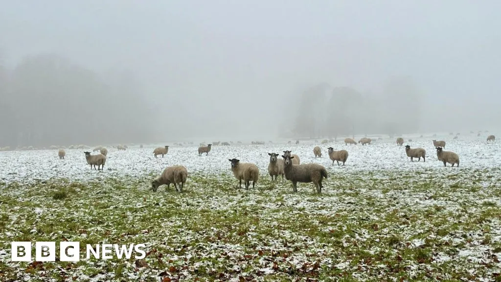 Weather presenter Alexis Green looks back on 2025