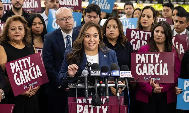 Illinois voters pick a new generation of Democrats for House,...