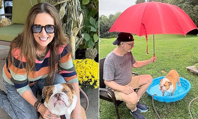 Losing my dog Harry broke me, writes author DEBRA CURTIS