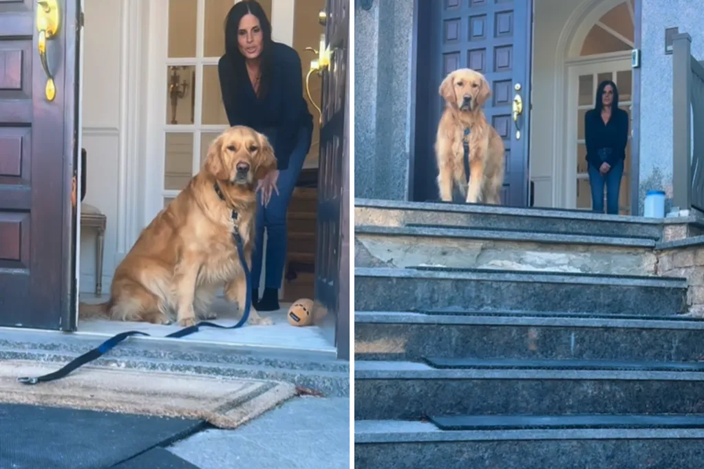 Golden retriever refuses to leave grandma -- then family gets devastating news