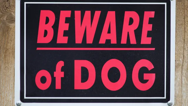 Ohio's 'Avery's Law' to take effect in March, bringing major changes to dog laws