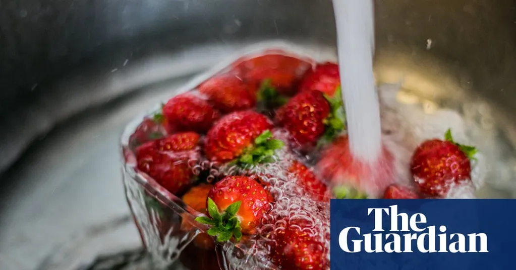 Should you sanitise your strawberries? Experts on the right way to wash fruit and vegetables