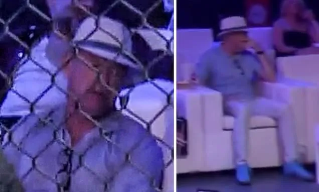 Christy Kinahan leaves Google restaurant reviews under 'Mr Vincent'