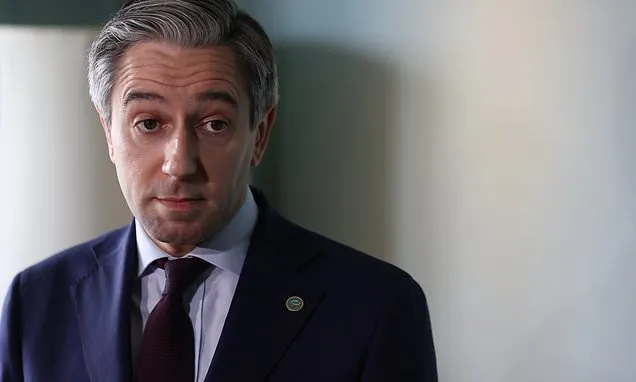 Fine Gael minister backs Harris amid resignation call