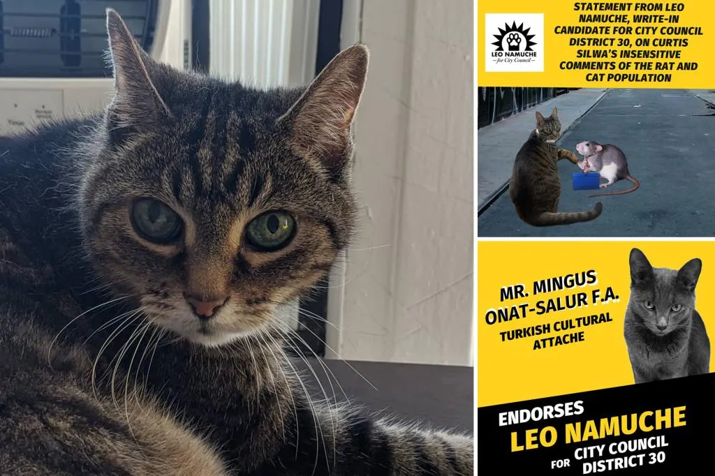 He's a Demo-cat: Groundswell of support in Queens for write-in...