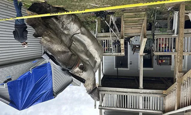 Kentucky governor says investigators will determine what caused...