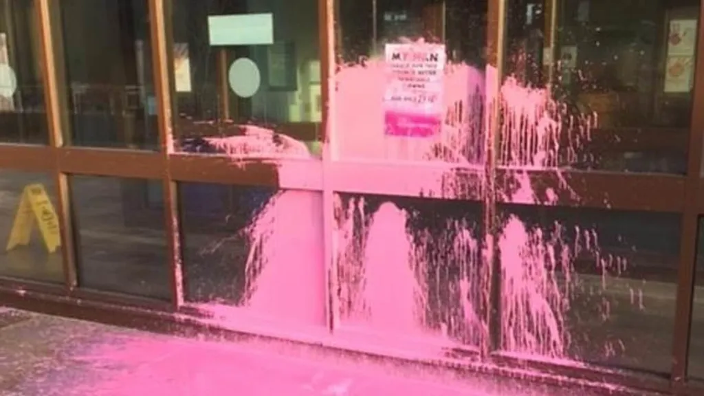 Activist cleared of throwing paint on buildings as 'lawful protest'