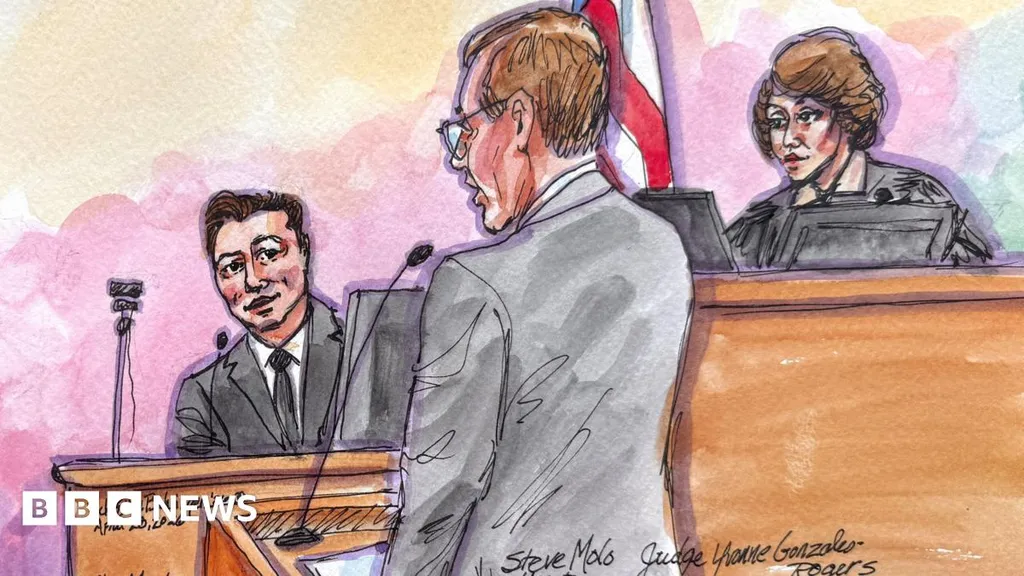 'That's not how it works' - the judge crossing swords with Musk in court