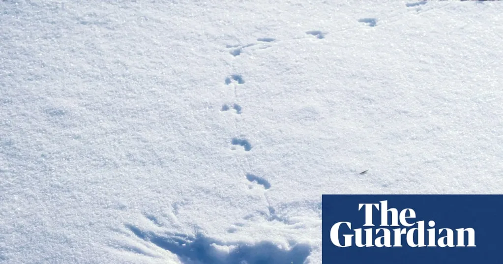Poem of the week: Winter Walk by Lynette Roberts