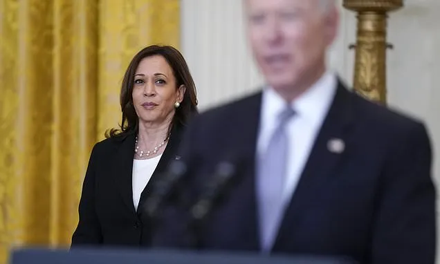 Joe Biden gets blamed by Harris allies for the vice president's...