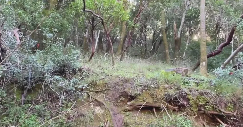 Fairfax community helps purchase land to prevent housing development