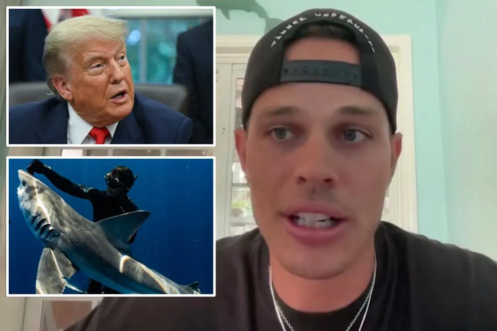 Florida diver convicted of freeing 19 sharks says he's 'speechless'...