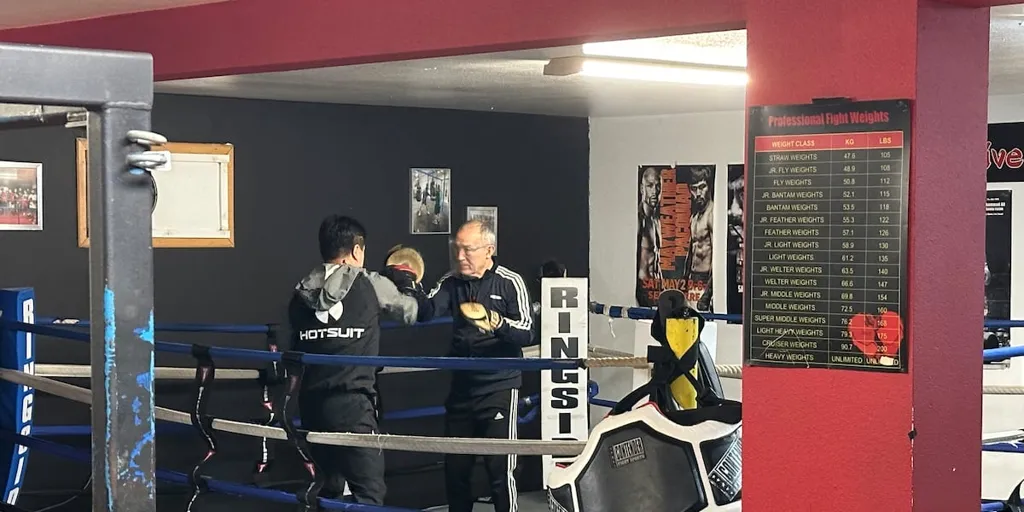 Tyson vs. Paul: Anchorage boxing community weighs in