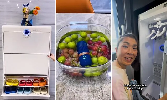 South Korea's impressive home cleaning gadgets revealed