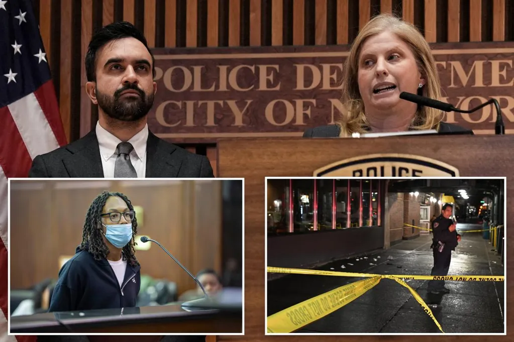 NYC youth crime hits historic highs in 2025 -- as some parents blame...