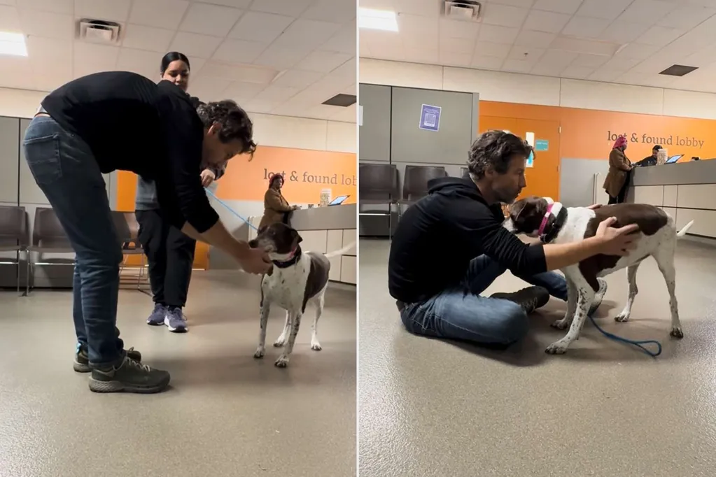 Man Finds Home for Puppy Lost in Snowstorm. 12 Years Later, He Gets a Heartbreaking Call from Shelter 450 Miles Away (Exclusive)