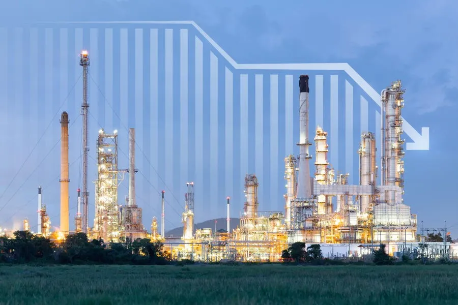 New UN Carbon Market Rules Could Reshape How Investors Value Nature