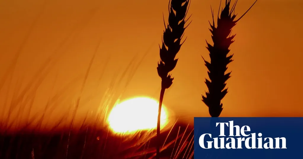 'Profound concern' as scientists say extreme heat 'now the norm' in UK