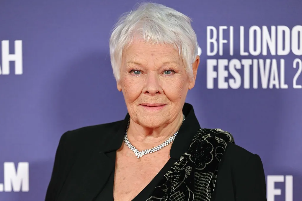 Judi Dench Says She 'Can't Recognize Anybody Now' amid Eye Condition