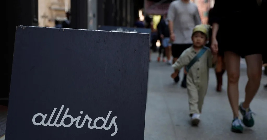 Allbirds lacks footing for dramatic AI pivot