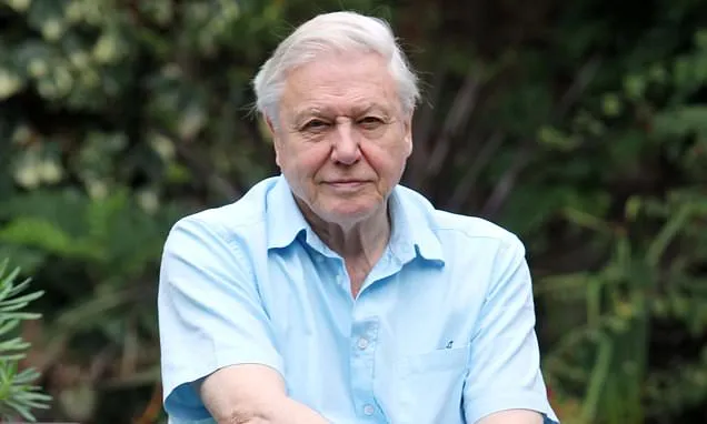 David Attenborough at 100: The lifestyle secrets of centenarians