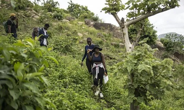 Nigerian hikers blaze trails despite insecurity