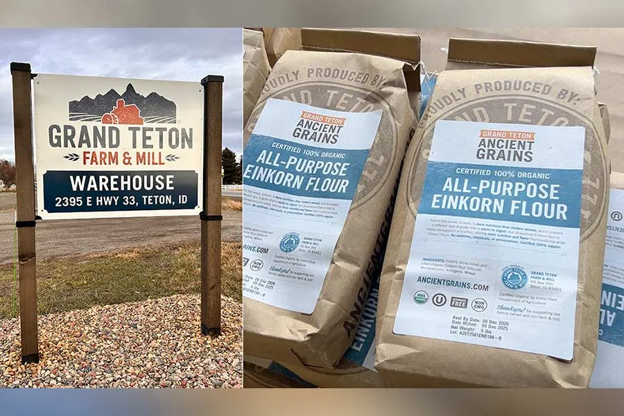 Local company uses ancient farming technique to provide nutrient dense food for customers - East Idaho News