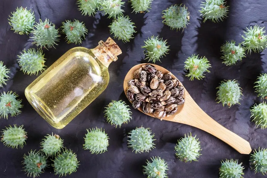 How Castor Oil Innovation Is Redefining Everyday Products