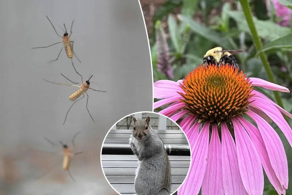 How to keep pests out -- without using cruel traps or harming the...